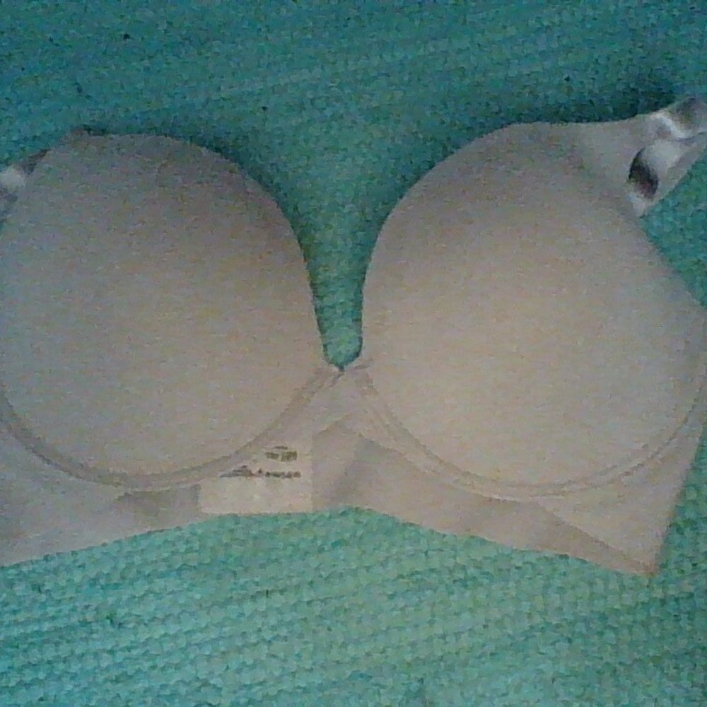 Kathy Ireland 36DD Bra $30
